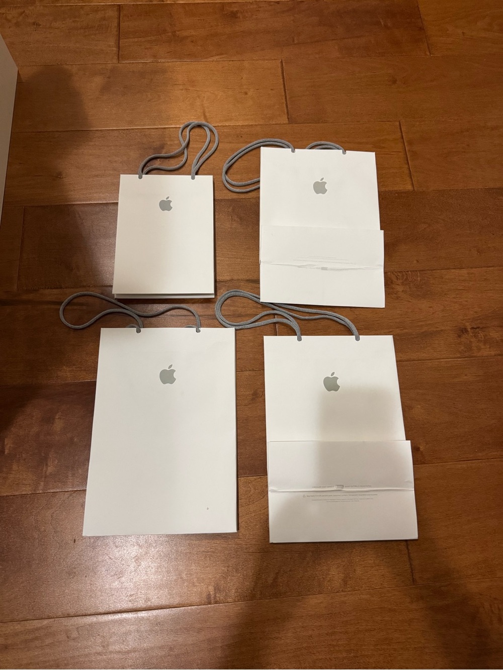 Apple White Paper Shopping Bags (Set of 4)